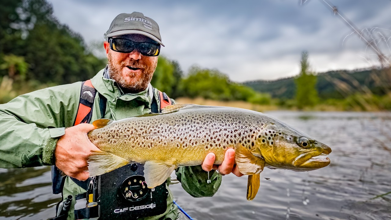 A Fly Fishing Paradise FULL of Big Trout
