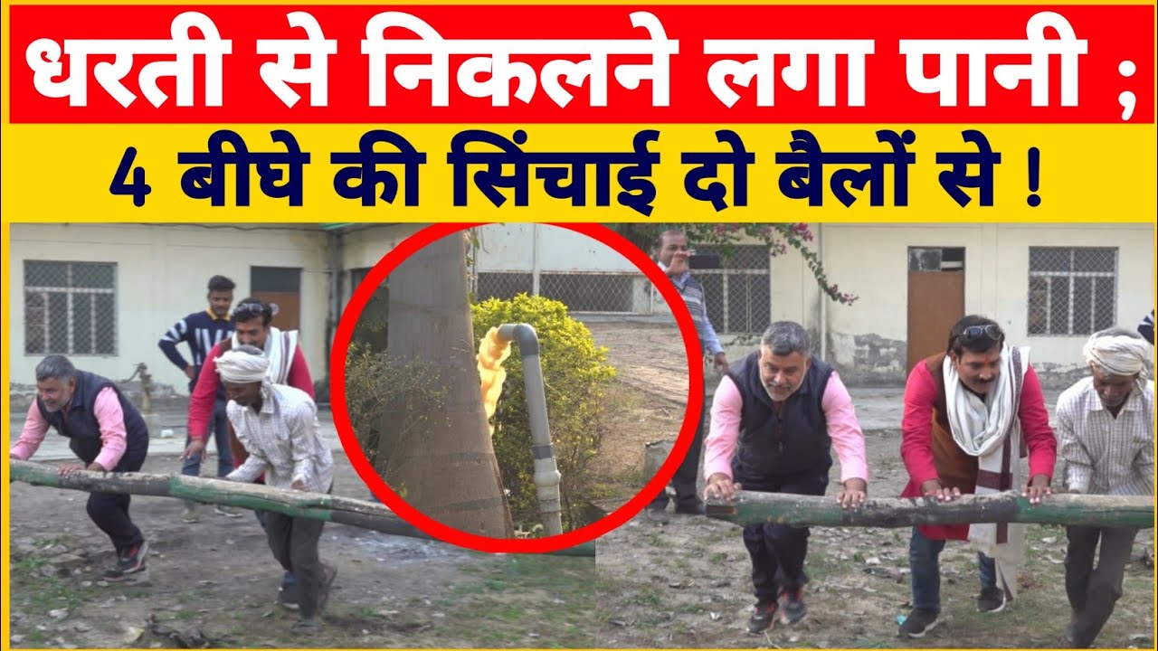 धरती से निकली पानी की धार; दो बैलों से होती है 4 बीघे की सिंचाई! प्रयागराज में अनोखा प्रयोग।