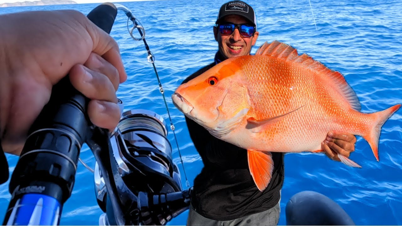 Catching Red Emperor & Nannygai in Mackay's Shipping Channel