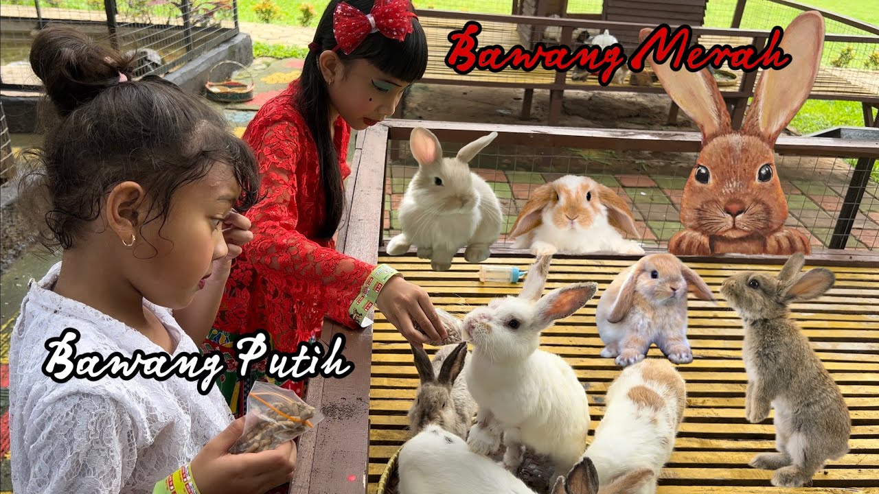 Bawang Merah keliling kasih makan Hewan🐠🐑🐰| Heboh Banget Bawang Merah😂