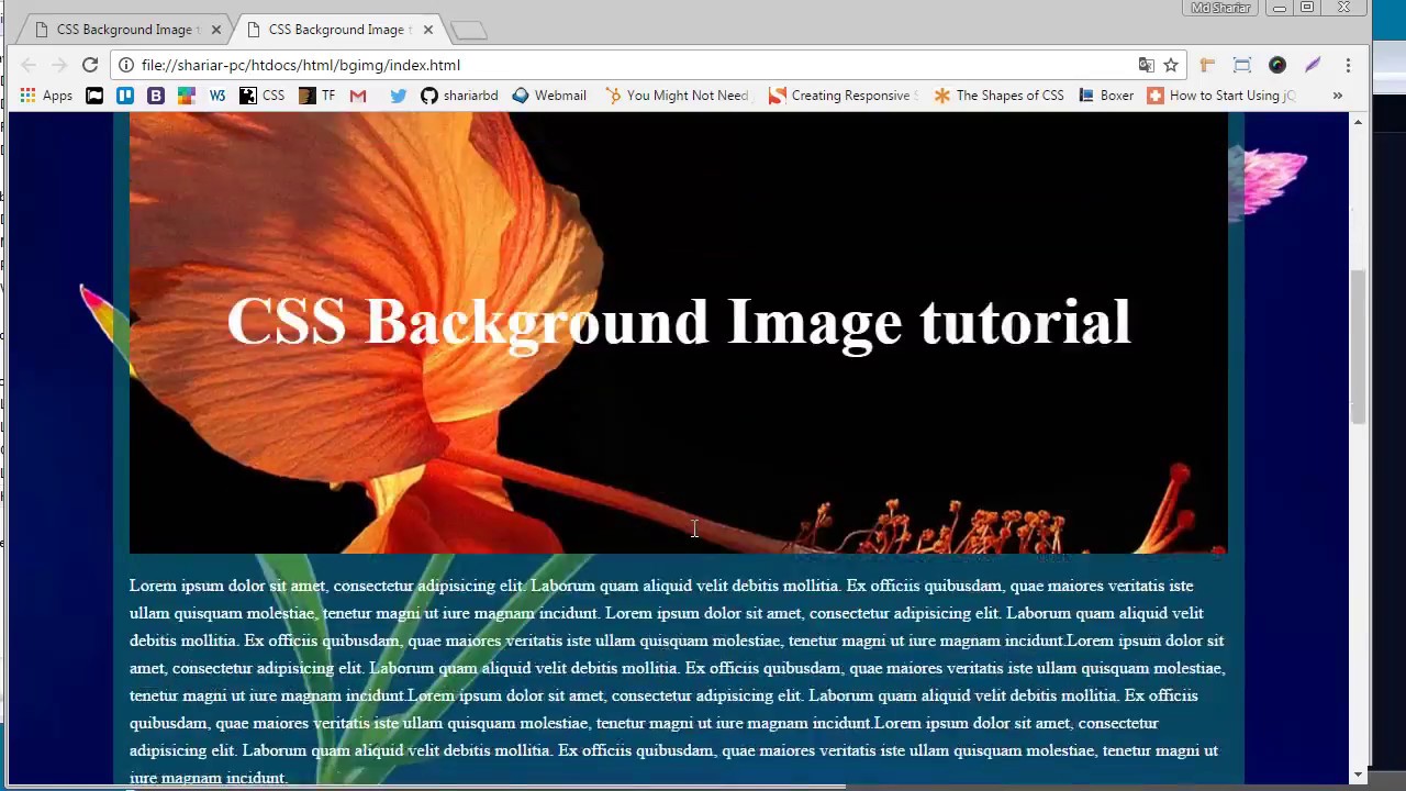 CSS Background Image Tutorial