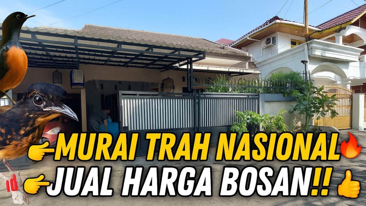 GREBEK RUMAH‼️ MURAI TRAH NASIONAL DIJUAL HARGA BOSAN😱 DI BEKASI