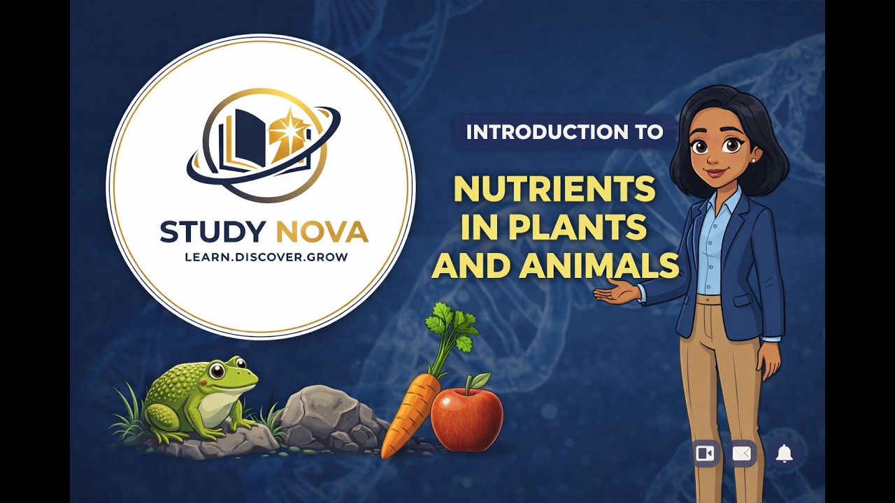 Nutrition In Plants And Animals