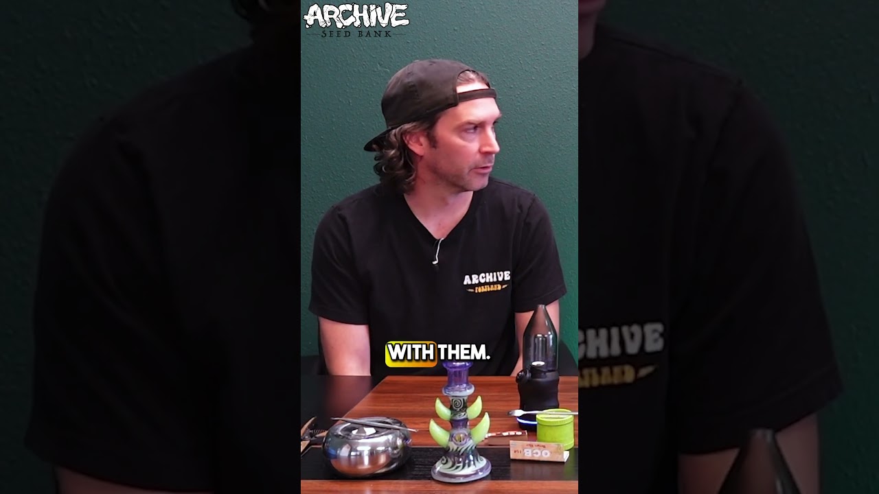 HONEY BANANA Rosin review just dropped on the channel!! 💨 #ArchiveTV #HashRosin #WeedReviews #Rosin