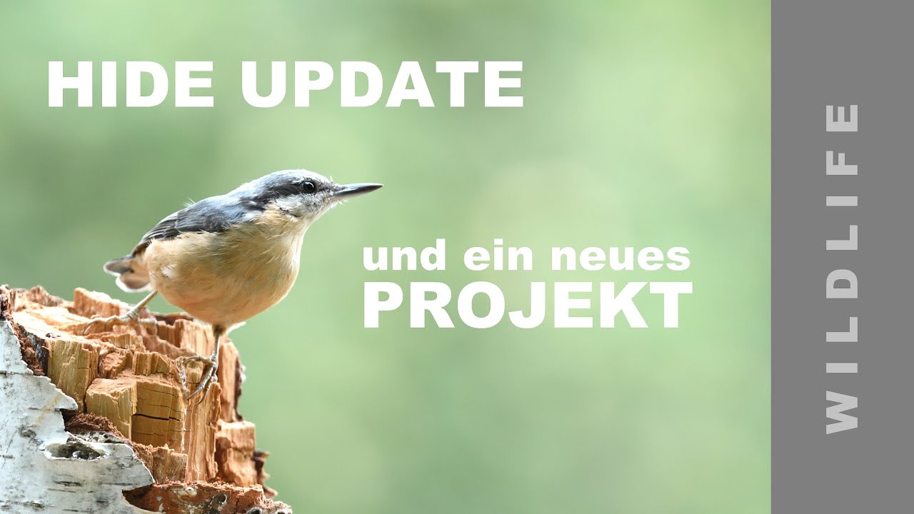 HIDE UPDATE und ein neues WILDLIFE PROJEKT