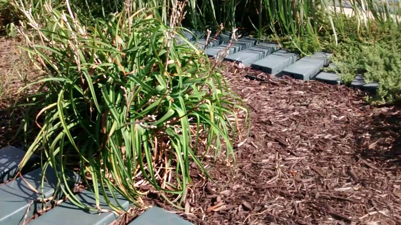 Puraflo peat moss system ventilation blocked