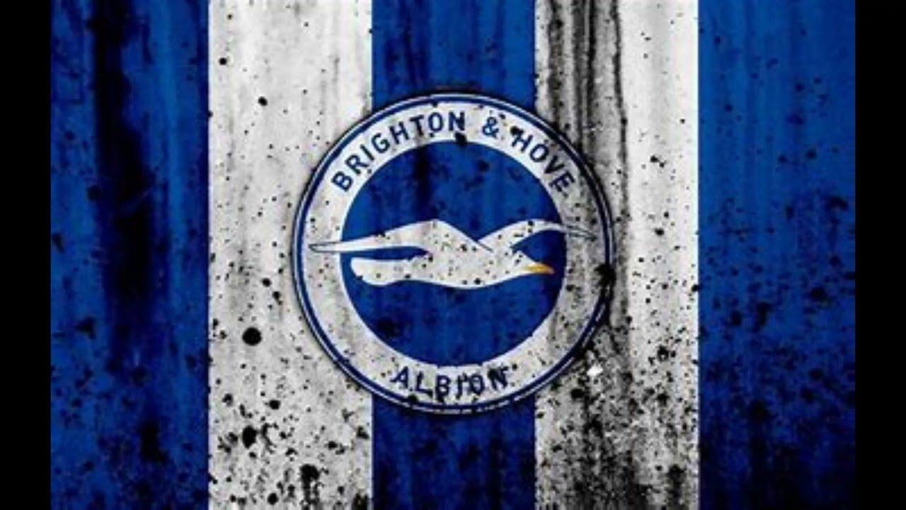 Brighton and Hove Albion walk out music