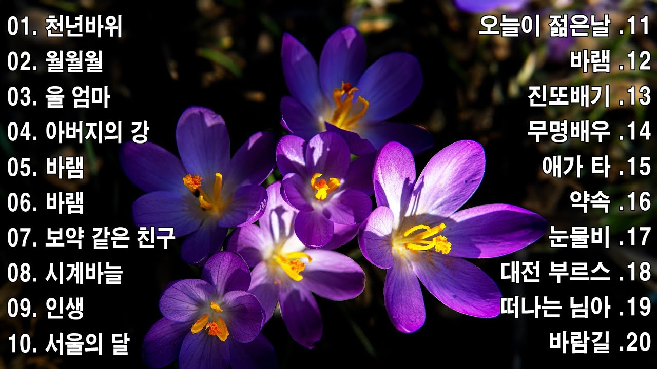 신나는 신나는 트로트 KPOP (TROT) PLAYLIST💙(김희재.장민호.양지은.홍지윤.정동원.영탁.이찬원.김태연.김의영.임영웅.별사랑.은가은)