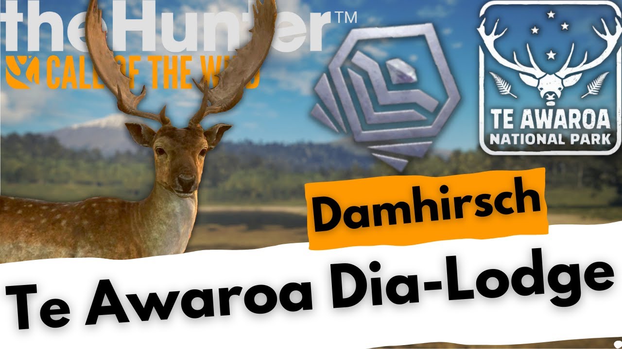 Ein neues Projekt! Los gehts mit dem Damhirsch! | Te Awaroa Dia Lodge  | the Hunter Deutsch