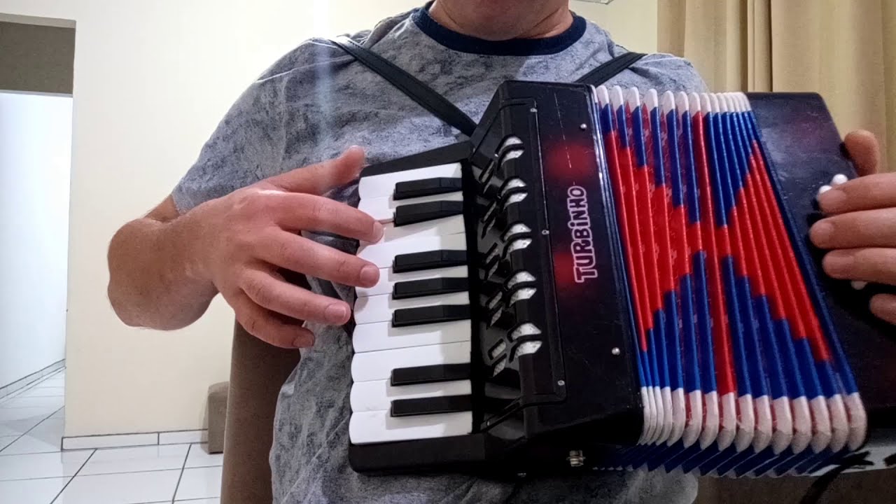 Acordeon 8 baixos Tordilho Negro vídeo aula