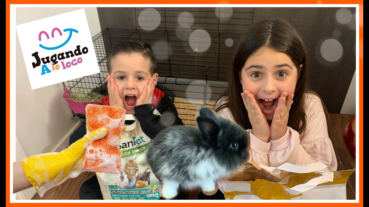 LIMPIEZA de la JAULA de un CONEJO ANGORA 🐰 con VINAGRE!! Jugando a lo Loco 🤪