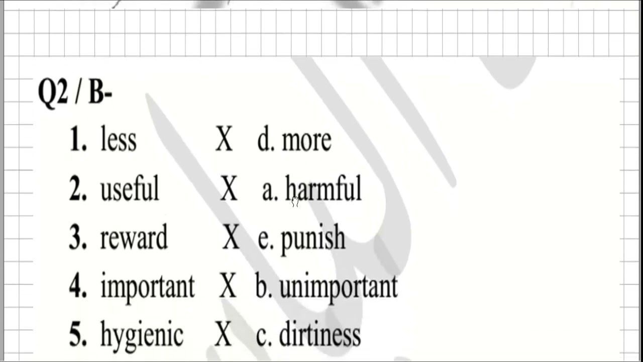 اسئلة اللغة الانكليزية للصف الثالث المهني الفنون التطبيقية الدور الاول 2024 مع الحل