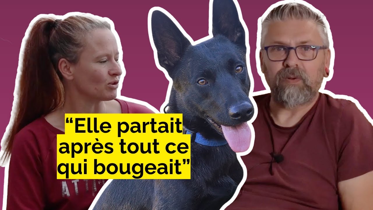 Histoires de chiens : Tokyo, Maïté et Fred