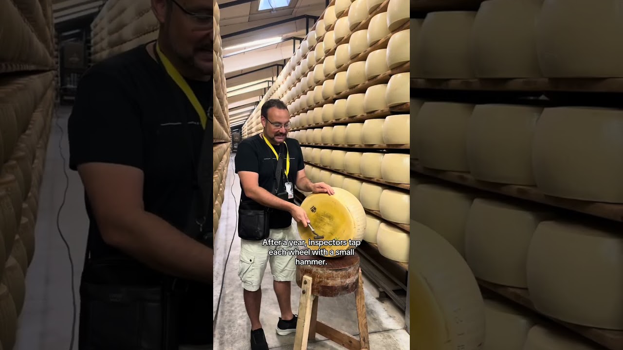 How Parmigiano cheese is made! 🧀🇮🇹