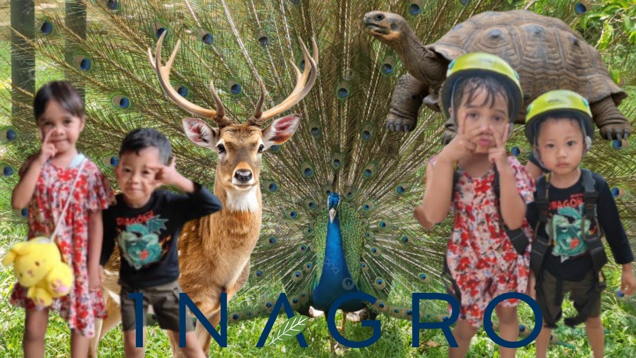 Agrowisata INAGRO. Tempat wisata di Bogor yang ramah lingkungan. 