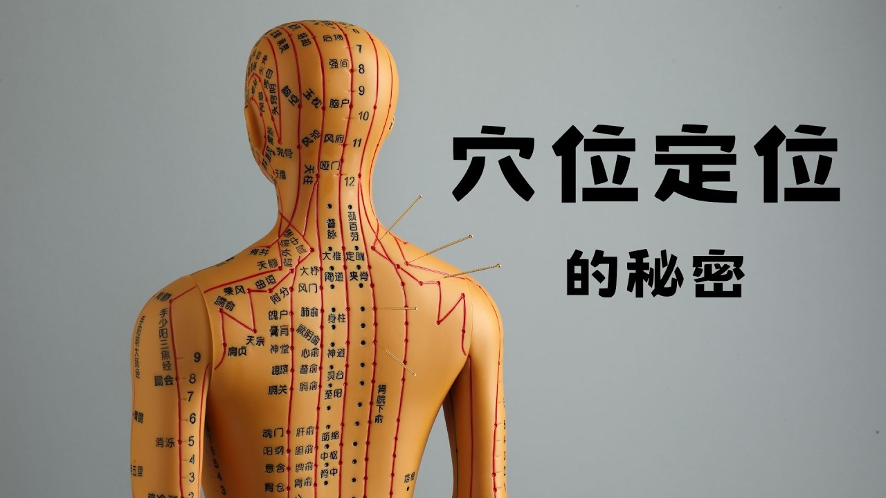 【民俗調理業傳統整復推拿系列#1】揭開人體經絡地圖的神秘面紗