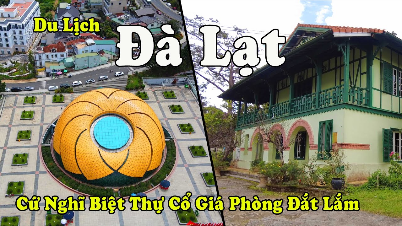 Du Lịch Đà Lạt Mới Nhất | Bật Mí Những Điểm Ăn Nghỉ Lý Tưởng Nhất Đà Lạt