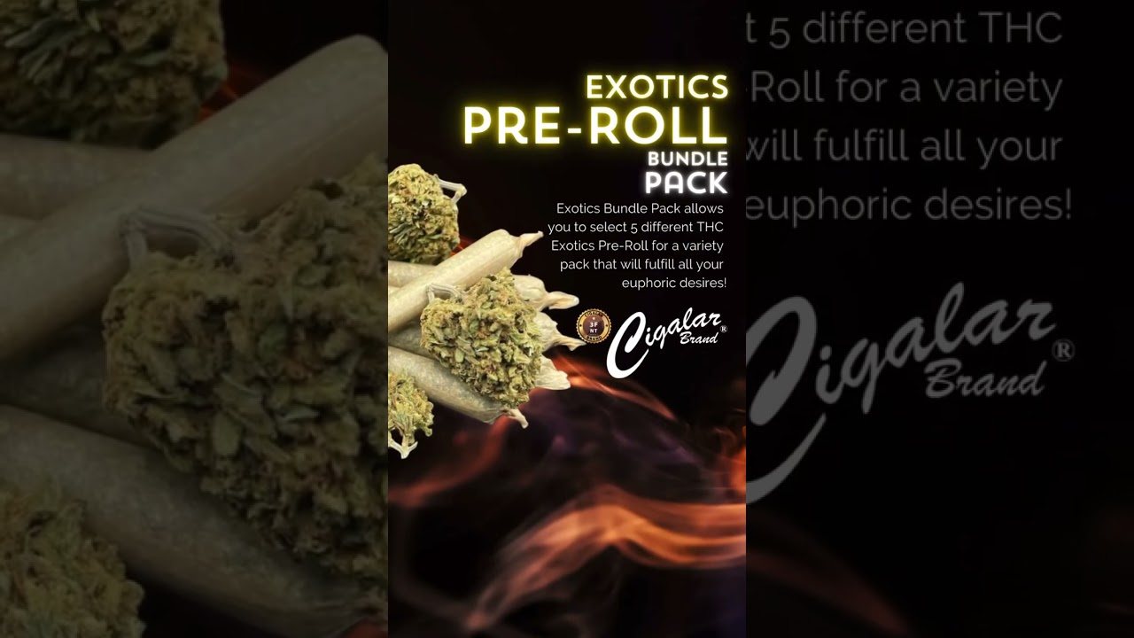 Exotics Preroll