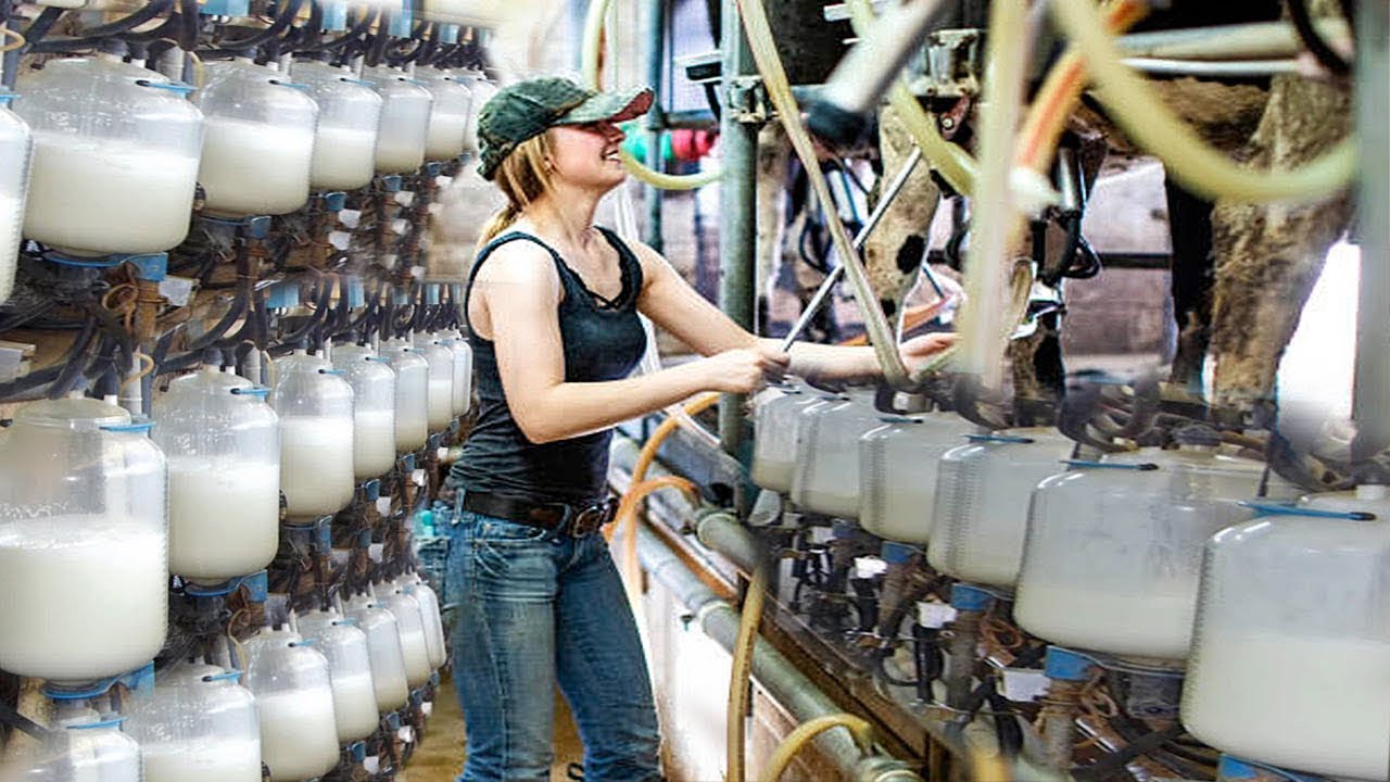 EXCLUSIVE: How an Ordinary Girl Turned an Abandoned Farm into an Empire in 6 Months 👸💸
