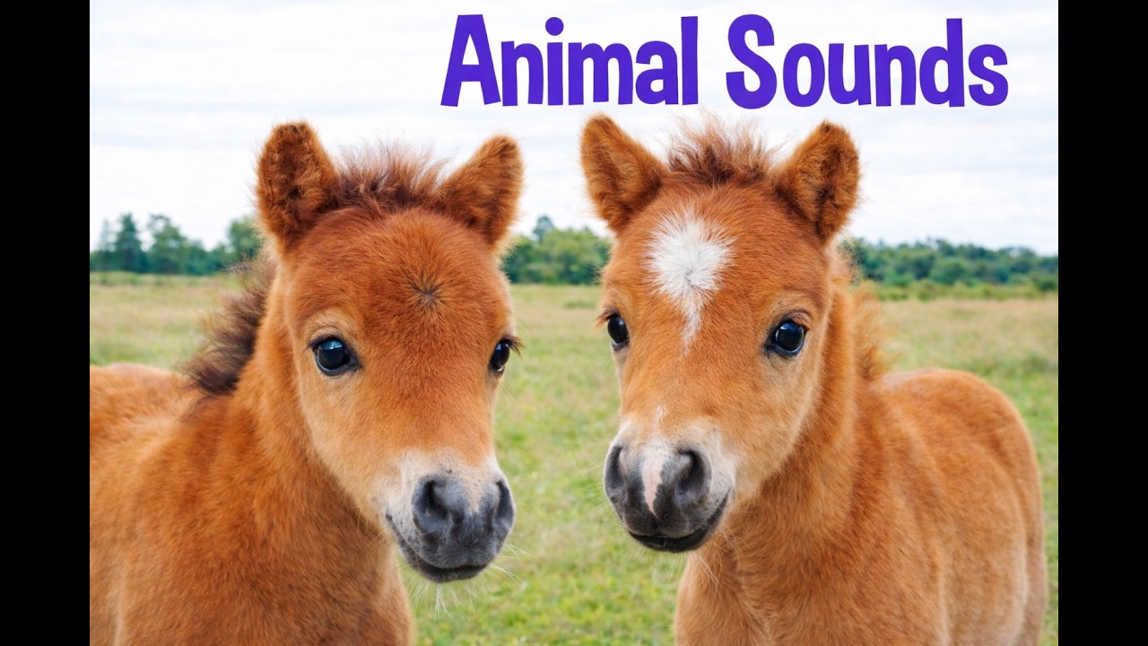 Animal Sounds for Children (20 Amazing Animals) BABY VERSION | New 2026