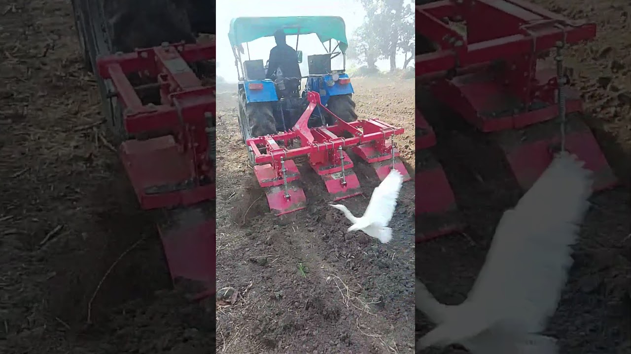 Agrizone