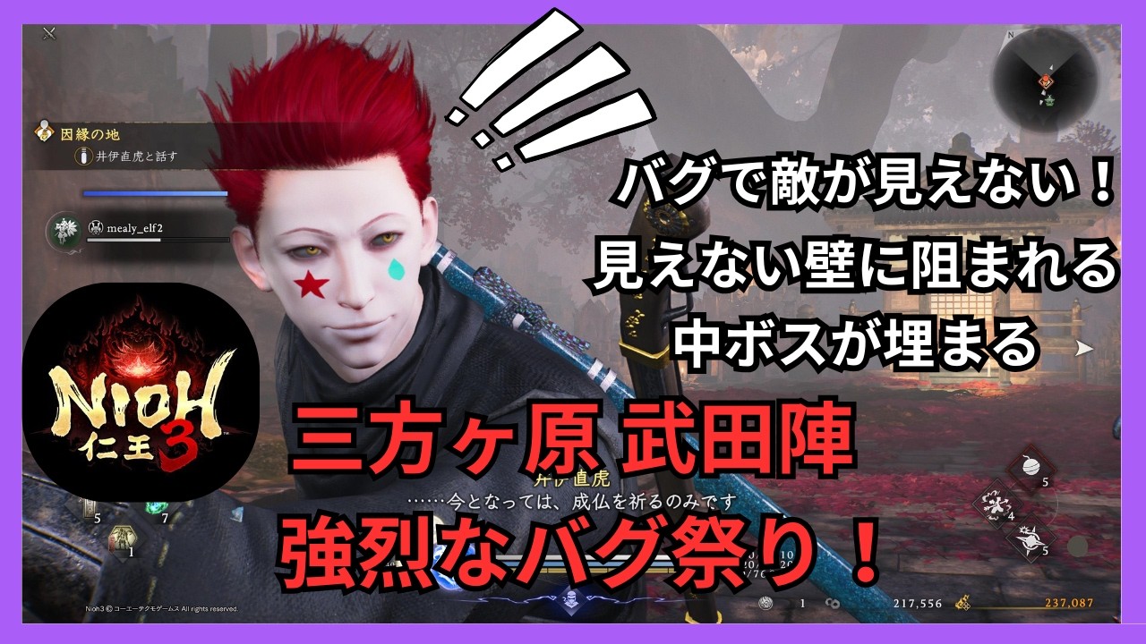 【仁王3】三方ヶ原 武田陣でのバグ動画です　PS5版になります