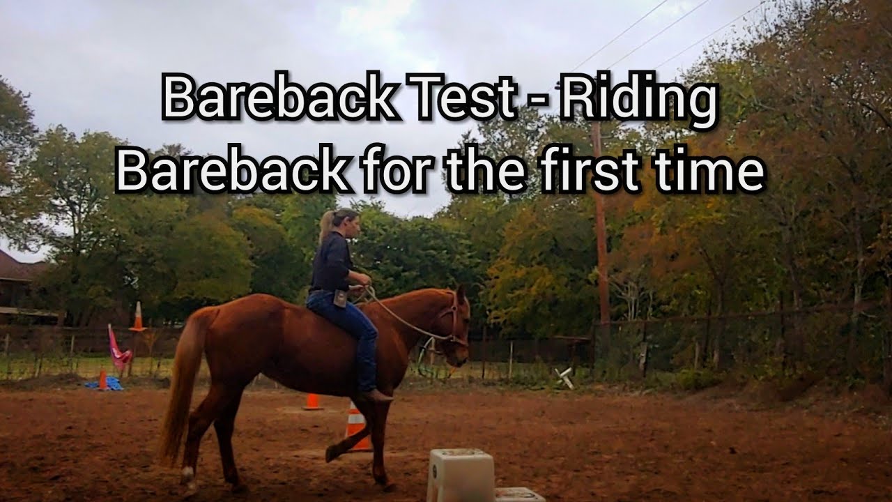 The Bareback Test - Riding a horse bareback for the first time