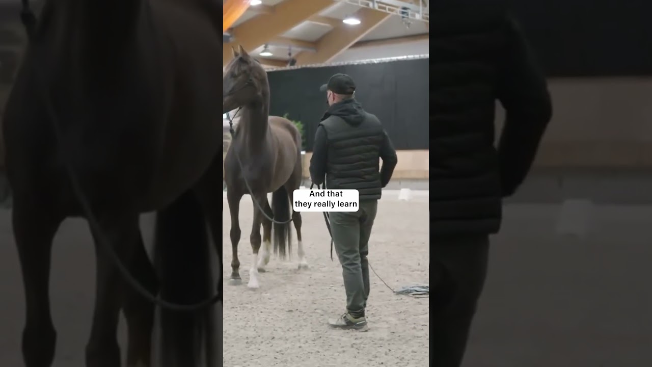 How to handle unexpected moments with your horse