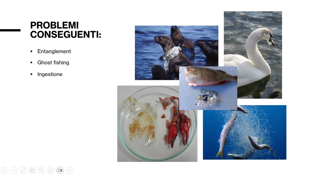 Microplastiche, presenza ed effetti - Silvia Galafassi, IRSA-CNR