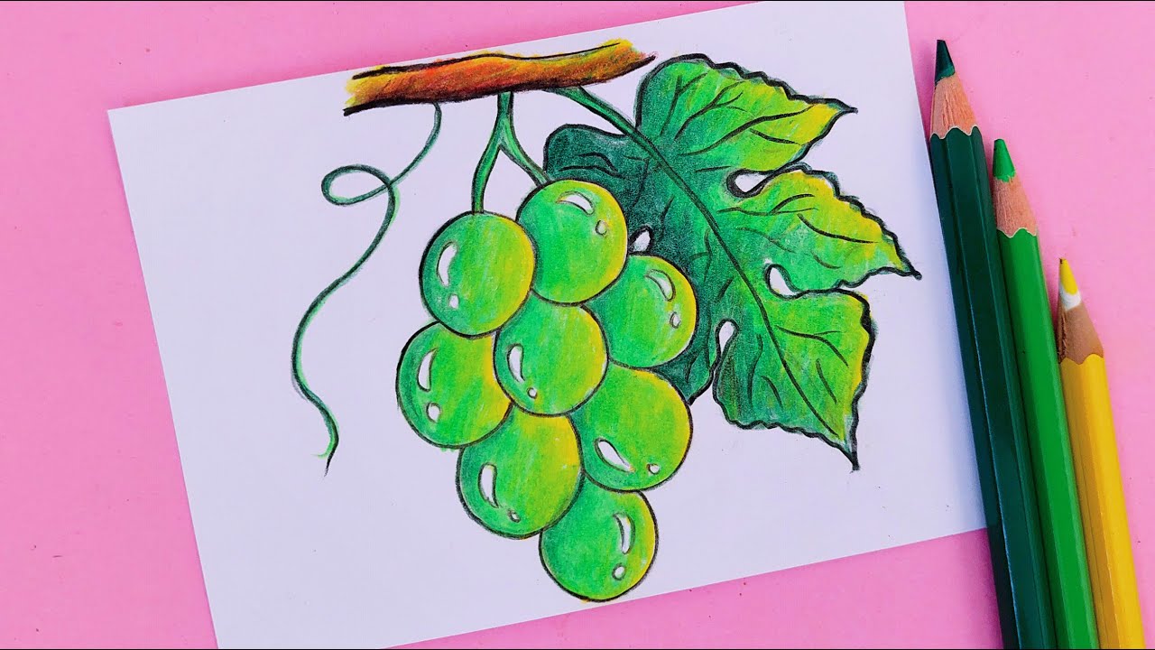 How to draw grapes step by step || Grapes drawing || Easy grapes drawing