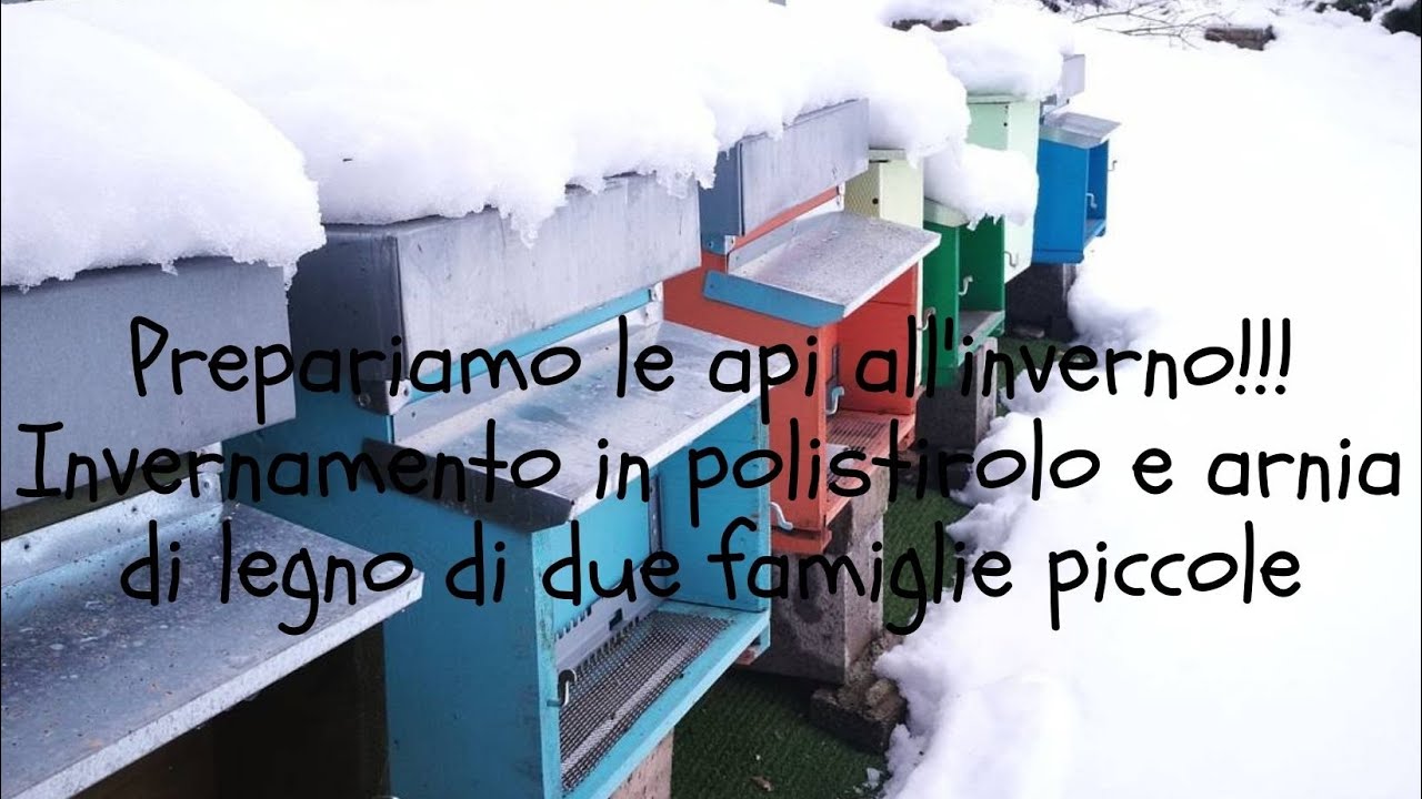 Invernare le api - per trovarle vive a primavera!!!! Differenze tra Polistirolo e Arnia.