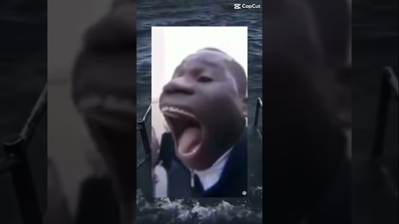 C&ograve;i b&aacute;o động n&egrave; :)))#memes