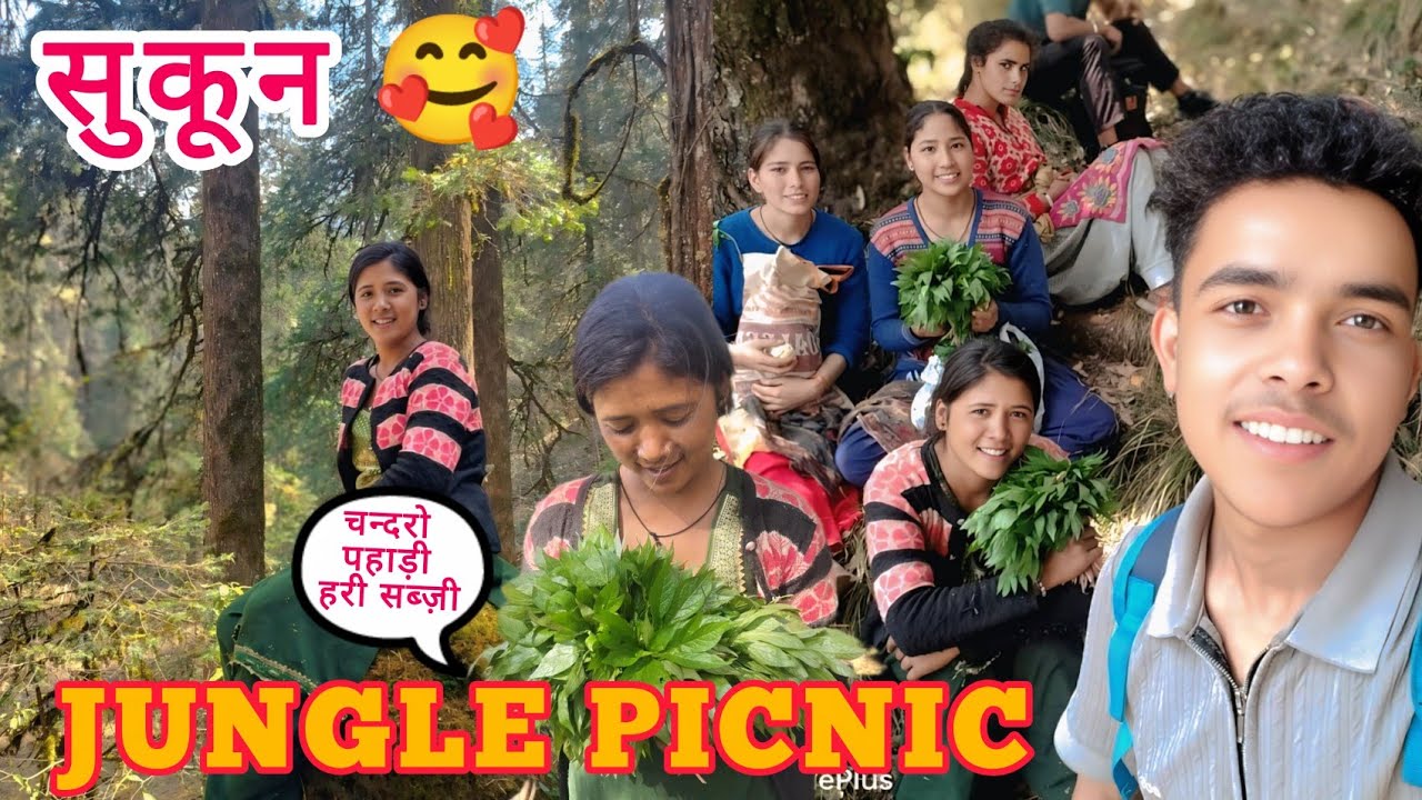 आज दोस्तों के साथ || jungle picnic pe ||  pahadi life style #vlog@Roshninegivlogs 
