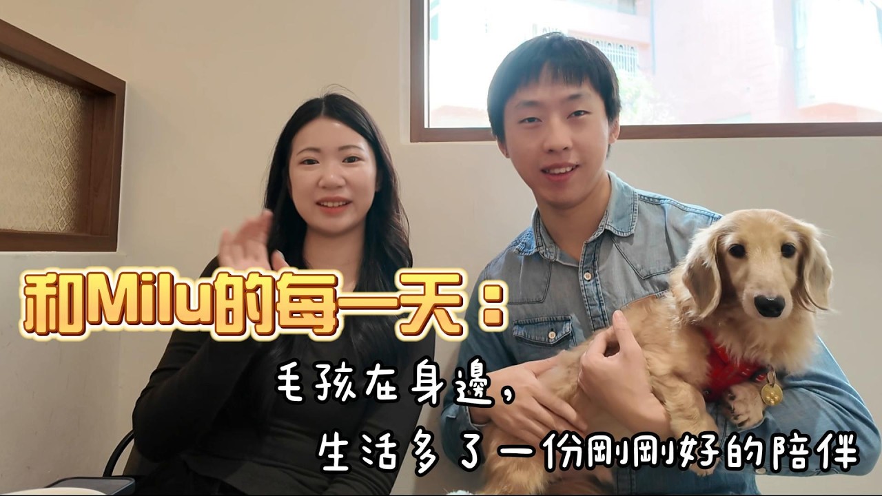和Milu的每一天｜毛孩在身邊，生活多了一份剛剛好的陪伴