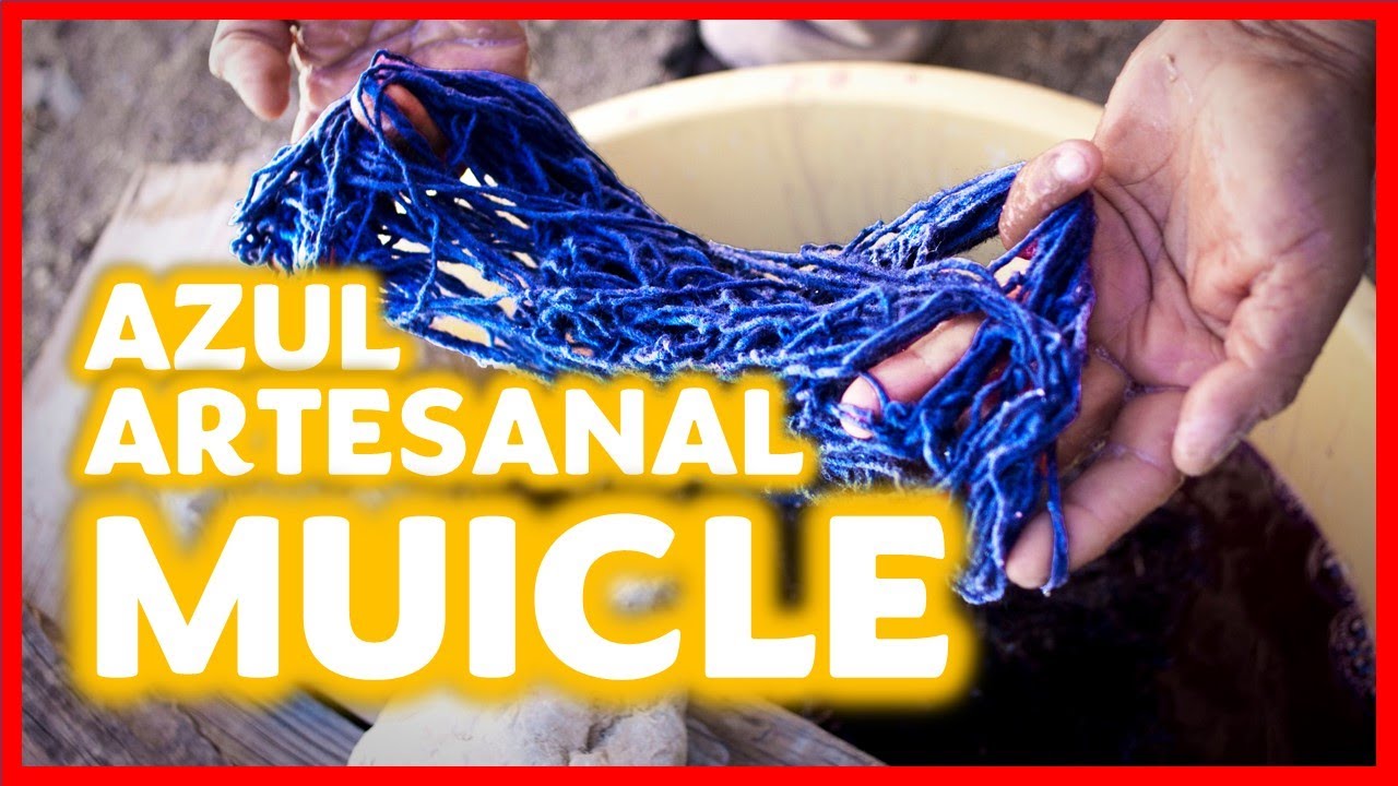 Muicle Azul || tejidos artesanales la grana || Muicle Indigófera || planta milenaria