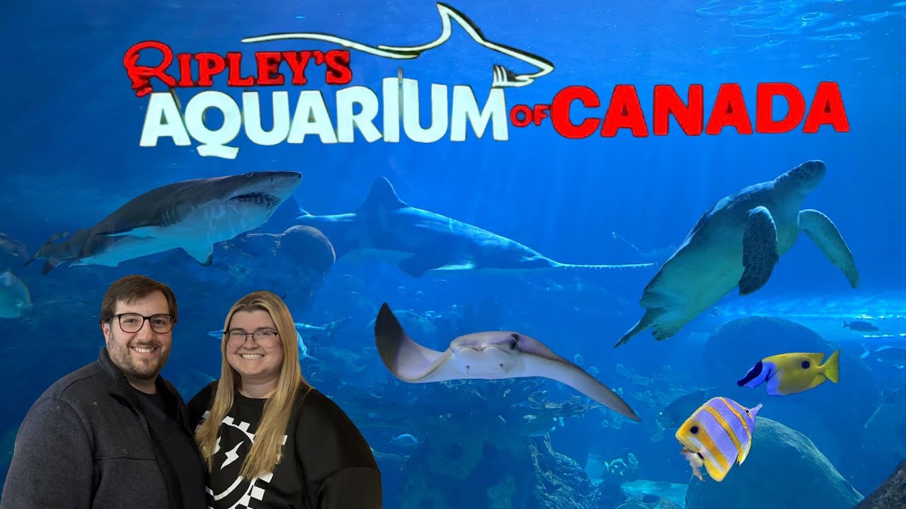 Ripley's Aquarium of Canada | Toronto, Ontario | Aquarium Tour & Marine Life Experience 🐠🦈🪼