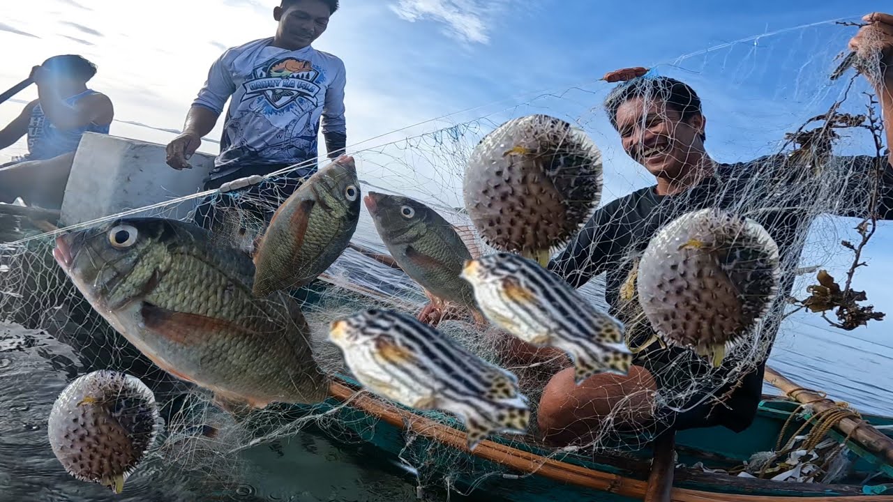 kaka ibang isda Ang nahuli sa aming lambat 😱