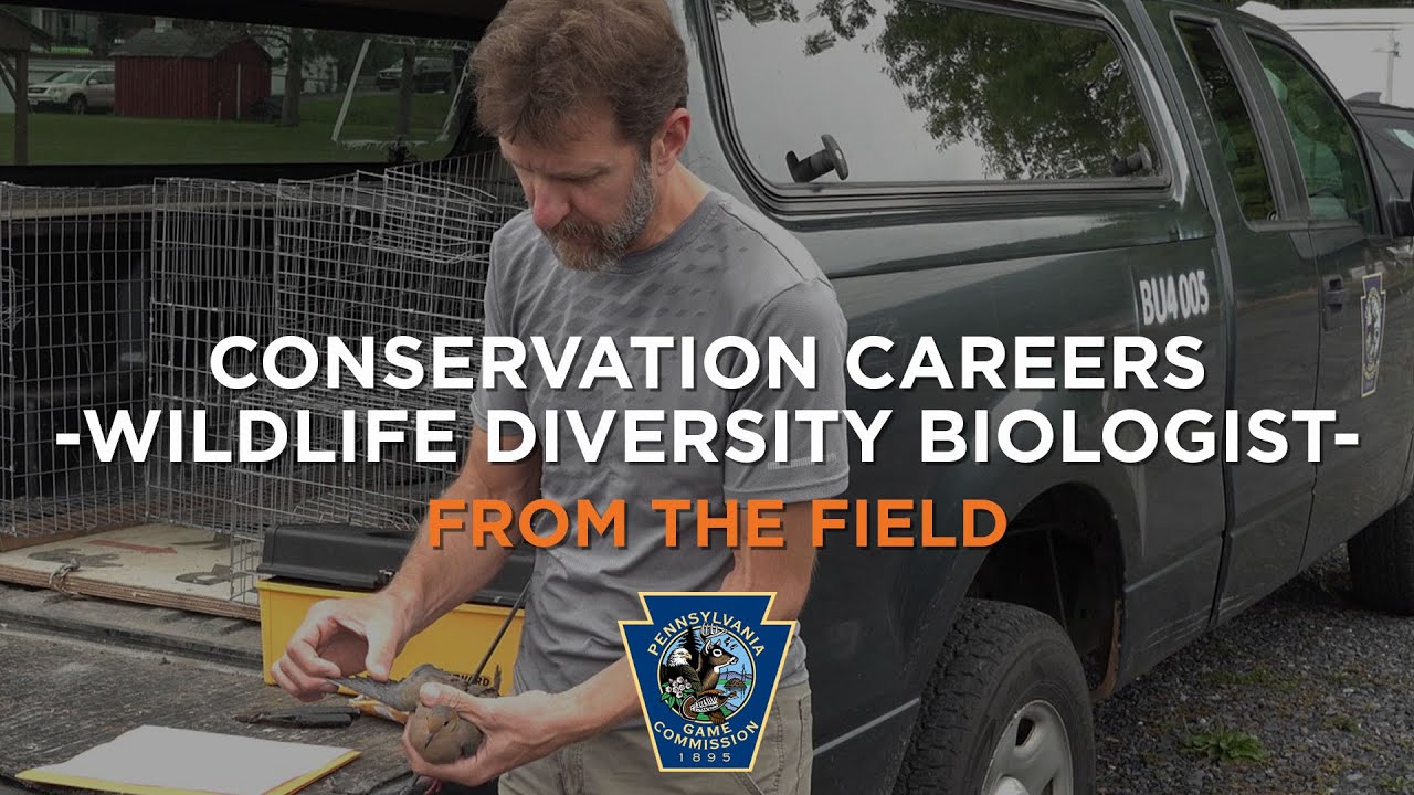 From the Field - Conservation Careers: Wildlife Diversity Biologist