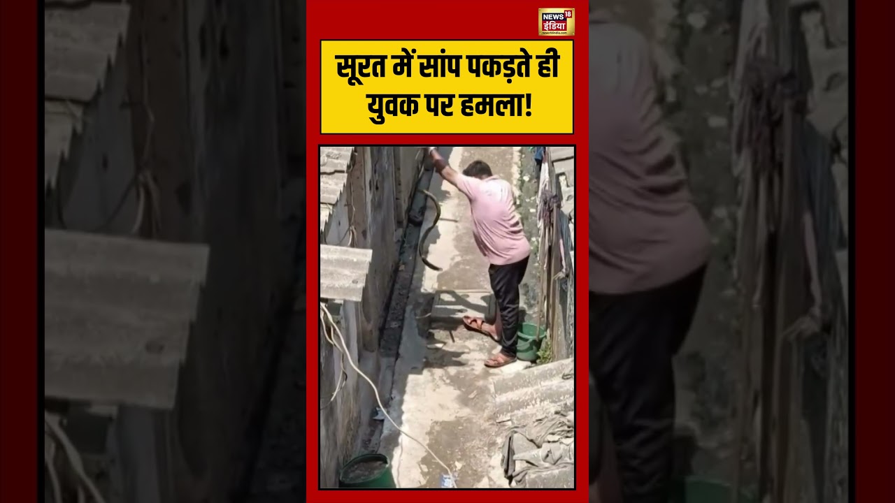 Surat में सांप पकड़ते ही युवक पर हमला! | #news18indianumber1 #viralvideo #shorts