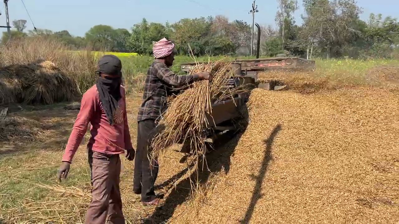 🙏Pora Bal rahe hain Bhusa Jaisa🙏                       #bhusawal 