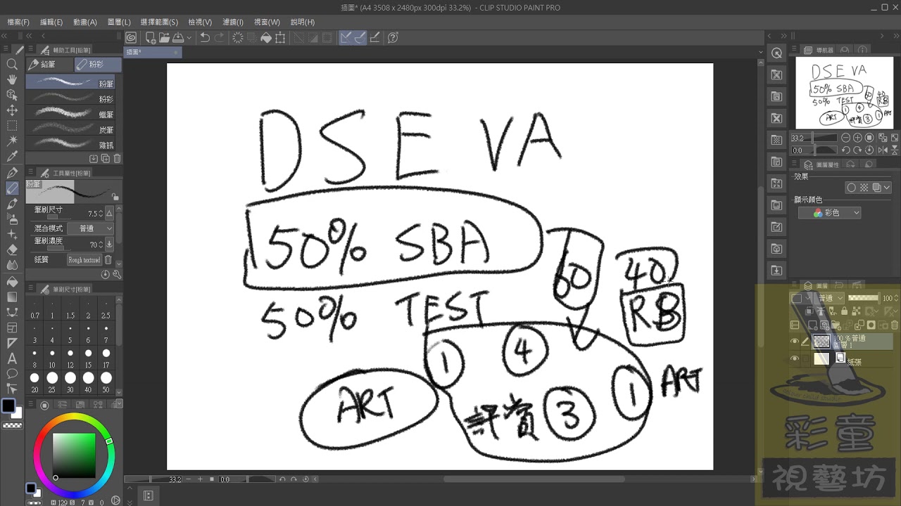 DSEVA 基本知識 考核內容