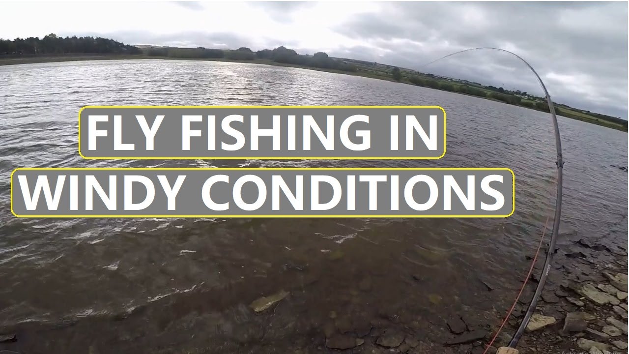 90. FLY FISHING UK Stillwater Rainbow Trout in the  🌬️ WIND 🪁