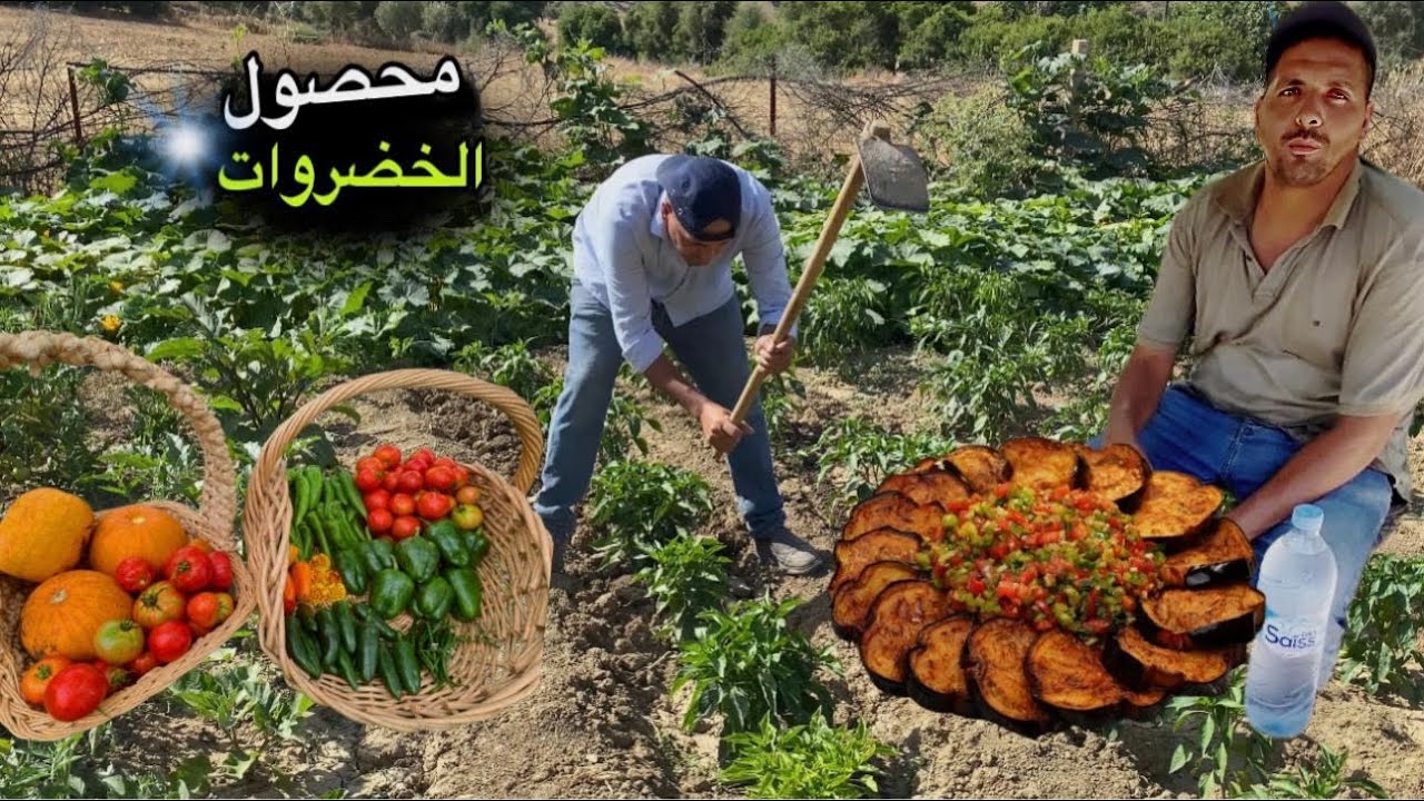 جني الخضروات الطازجة و تحضير اكلة الزعلوك اللذيذة