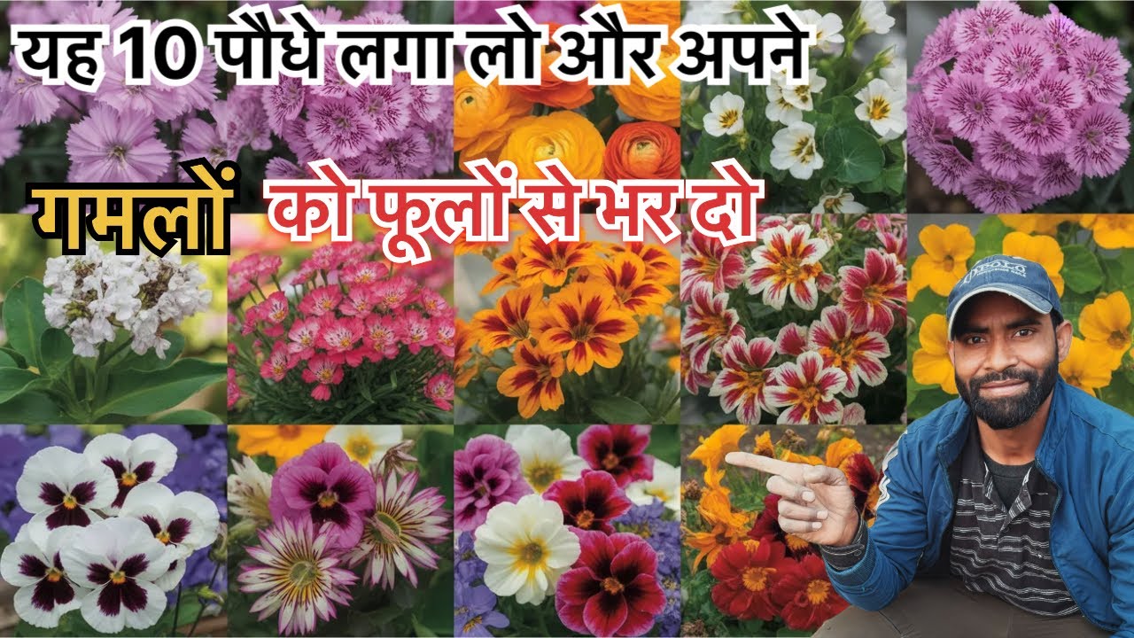 January Mein Lagane Wale 10 Phool | Winter Flower Plants | Gardening Tips Hindi