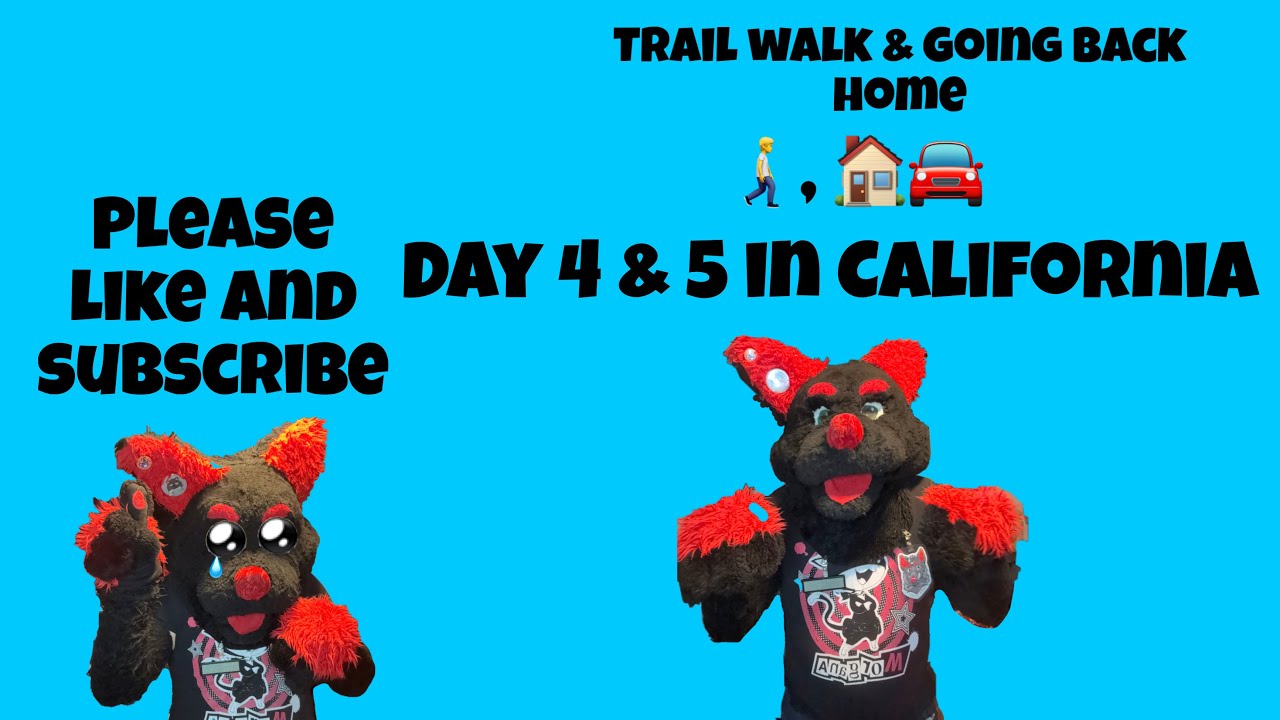 Day 4 and 5 in California ( trail walk & going back home ) 