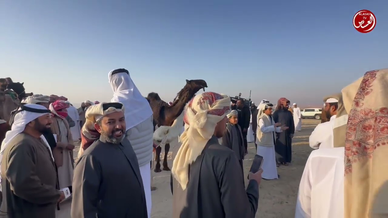 مهرجان الظفره اليوم السابع عشر دخول المفاريد مجاهيم والمحليات الاصائل