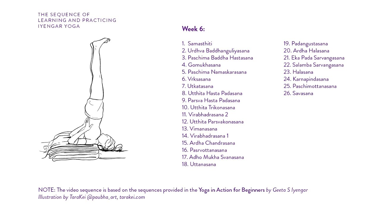 Week 6: Learning and Practicing Iyengar Yoga for Beginners