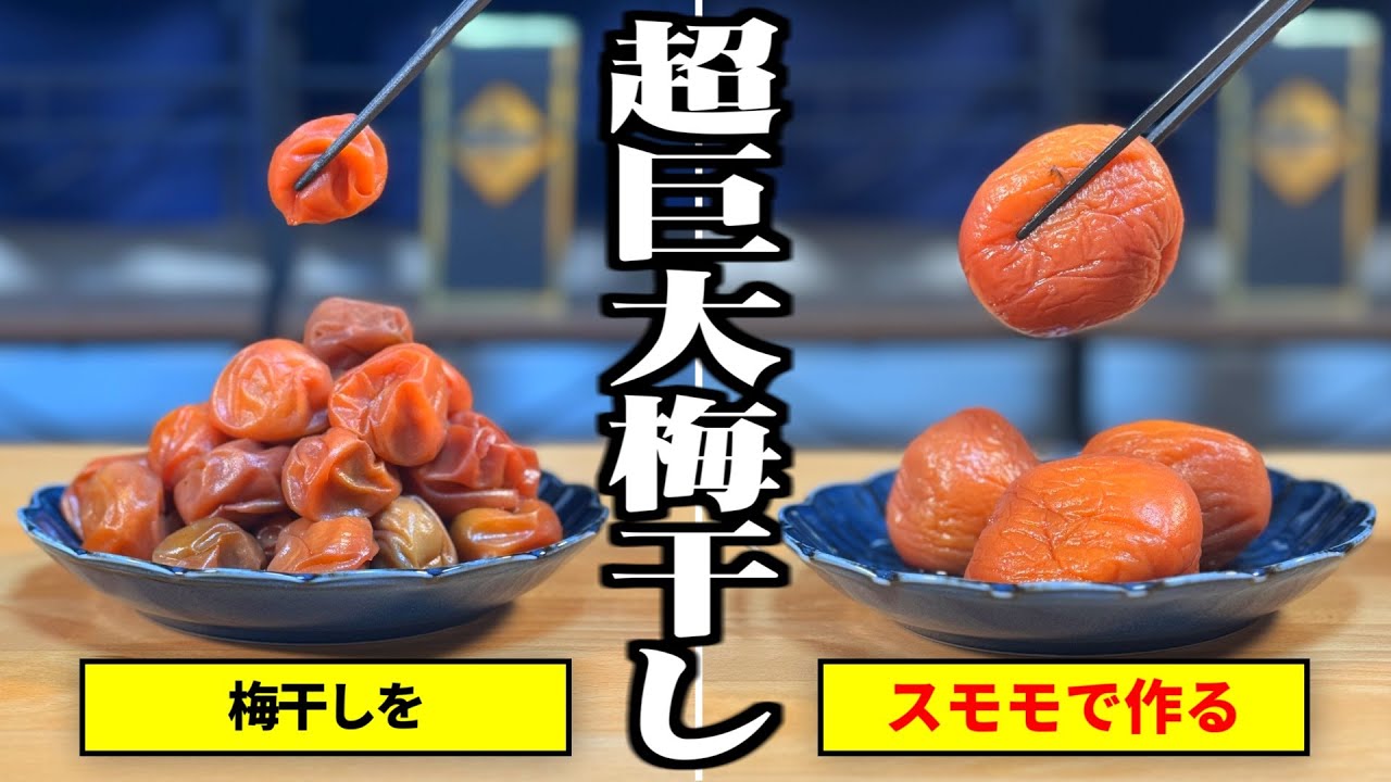 酸っぱいスモモを使えば超巨大な「梅干し」作れる説