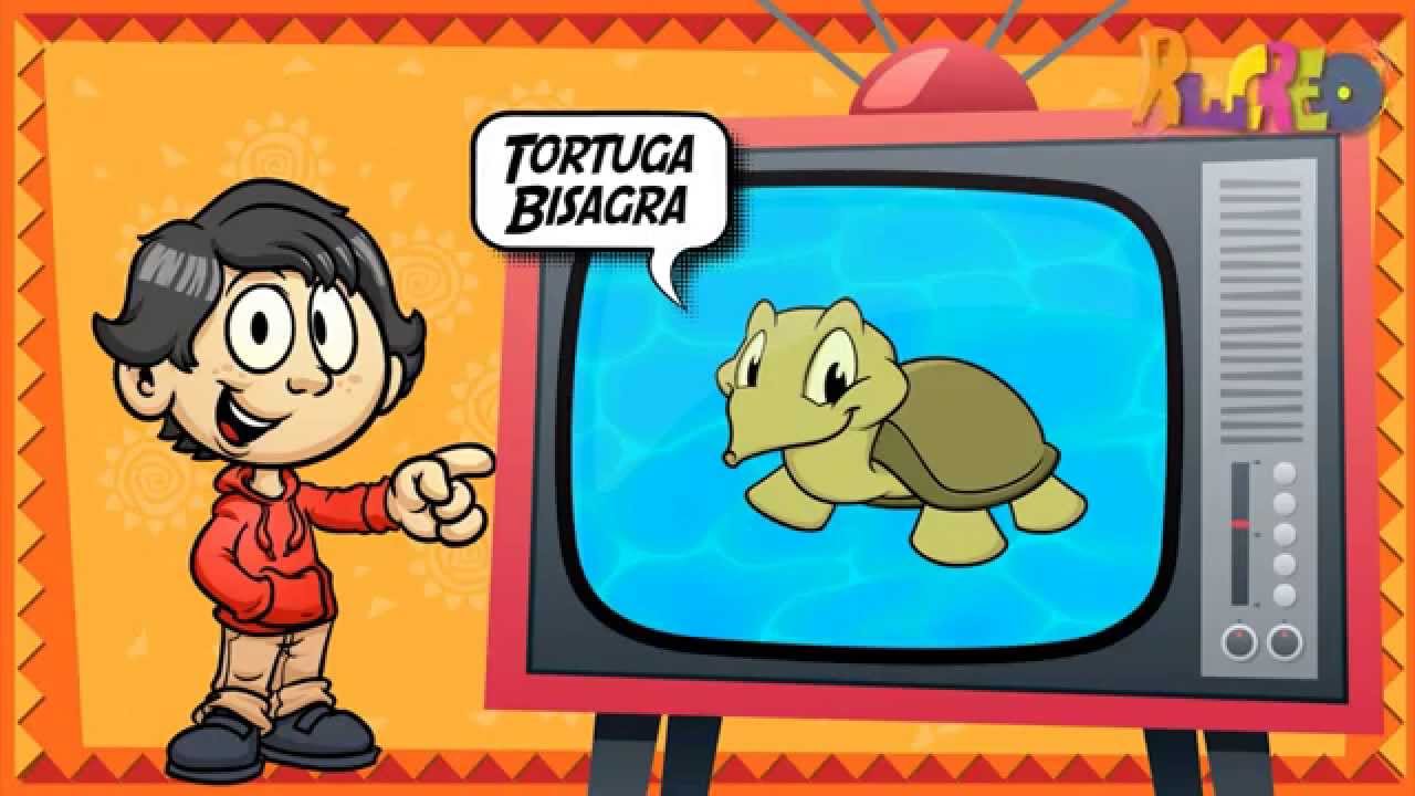 Las especies end&eacute;micas de M&eacute;xico