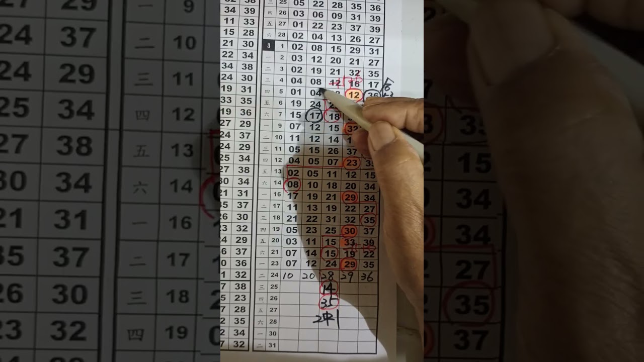 阿正539一3月25日版路参考用